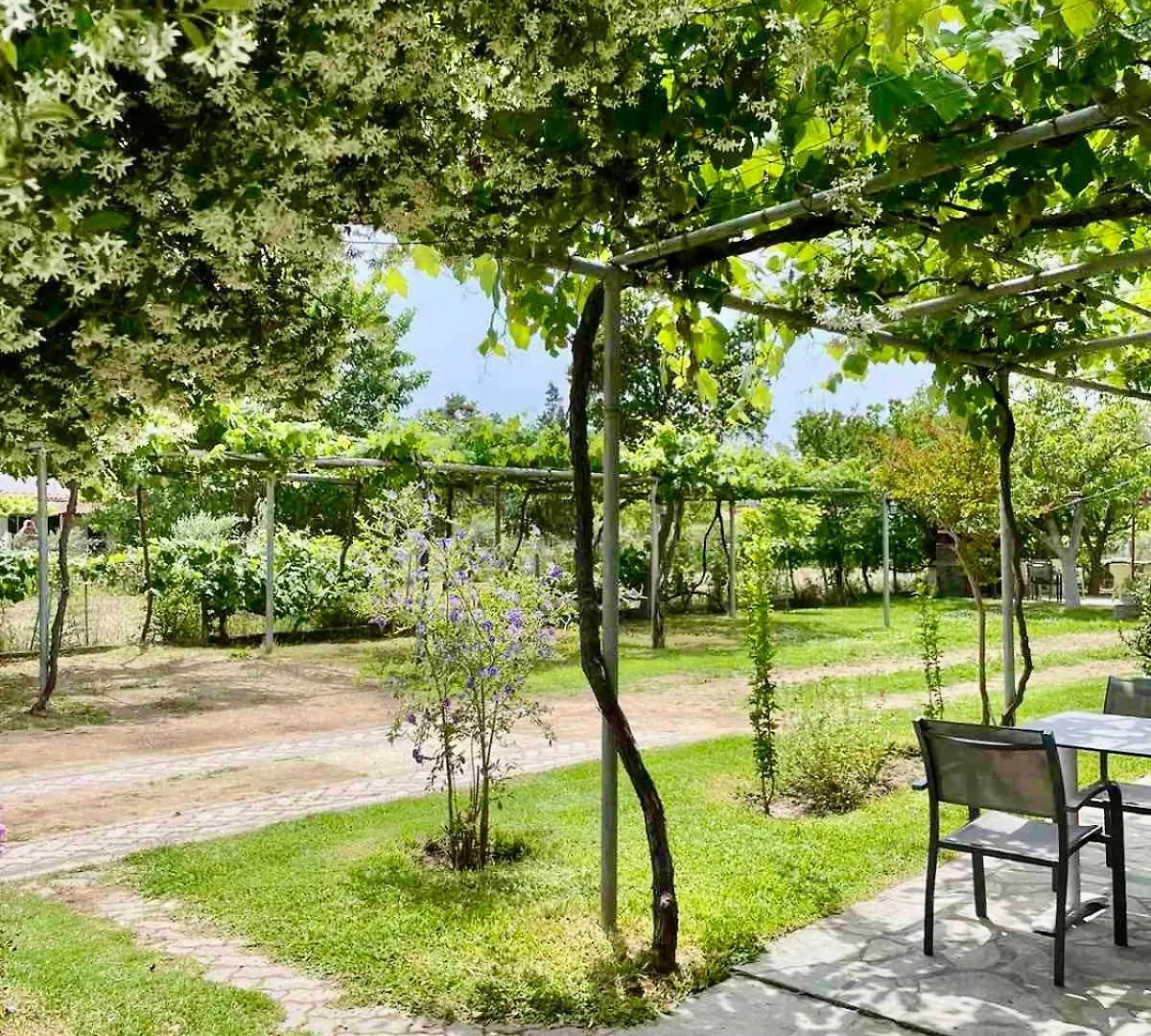 Apartment Nina Holidays Paralia Sikias 0*,  希腊
