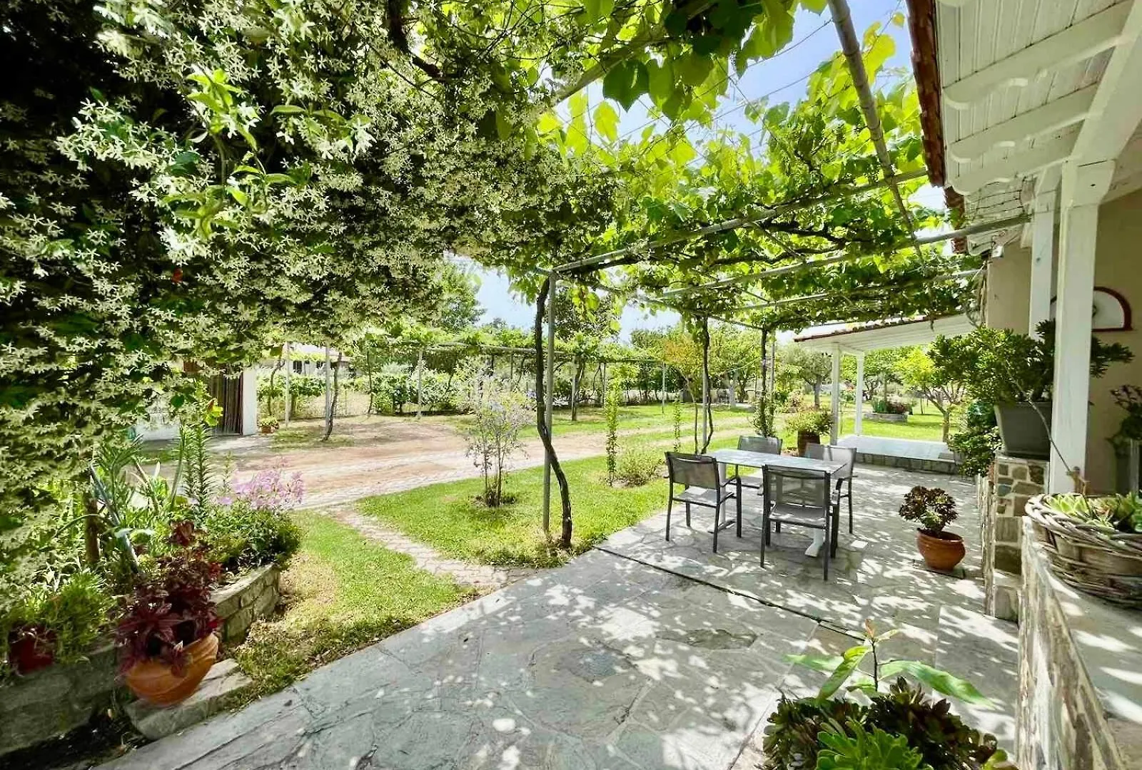 Apartment Nina Holidays Paralia Sikias Řecko